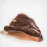 TEX'S PREMIUM PIGS EAR