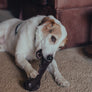 Tex’s Large Premium Ham Bone