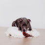 TEX'S PREMIUM PIGS EAR