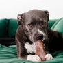 TEX'S PREMIUM BEEF TRACHEA